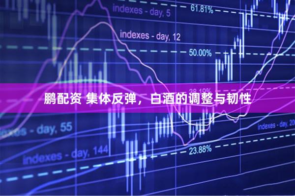 鹏配资 集体反弹，白酒的调整与韧性