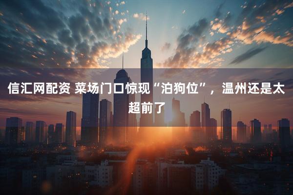 信汇网配资 菜场门口惊现“泊狗位”，温州还是太超前了