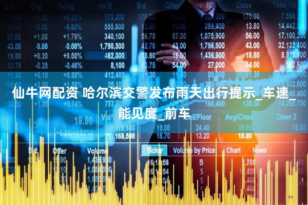 仙牛网配资 哈尔滨交警发布雨天出行提示_车速_能见度_前车