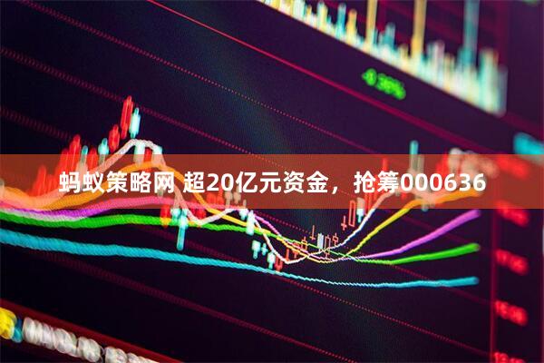 蚂蚁策略网 超20亿元资金，抢筹000636